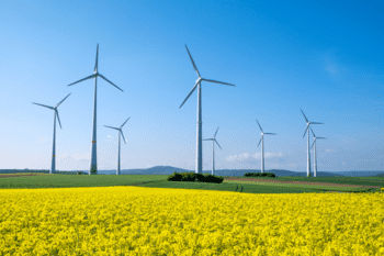 Sustainability